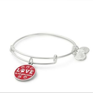 Alex and Ani Love Is All You Need charm bracelet
